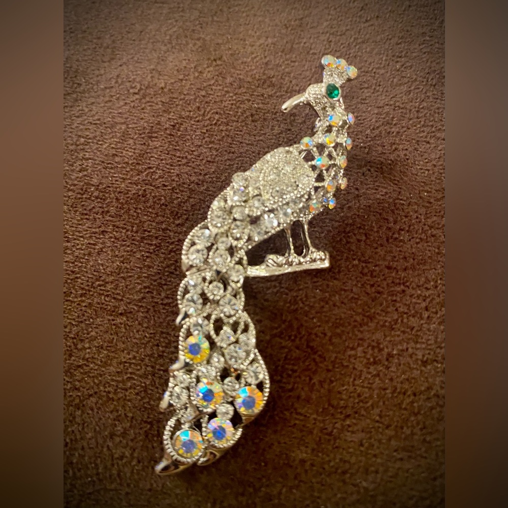 Pretty as a Peacock pin or brooch. Silver finish